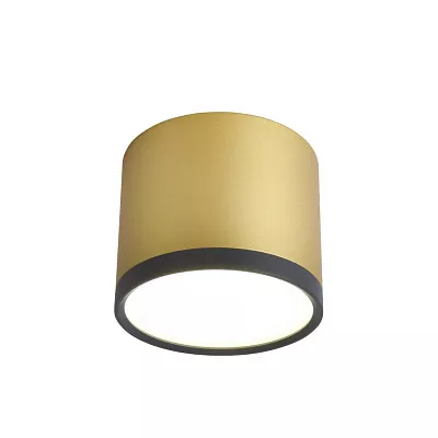 Точечный накладной светильник Favourite Baral 3082-2C