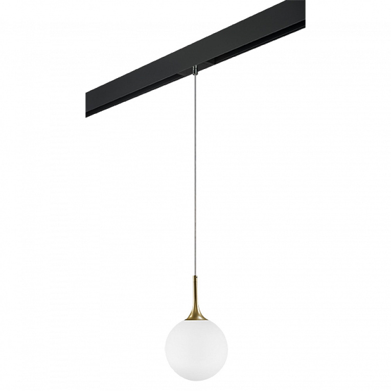 Комплект с подвесом для трека PRO Lightstar Globo PRO813022