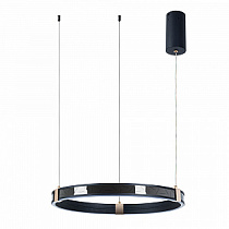 Подвесная люстра ARTE LAMP SHINE A2222SP-1BK